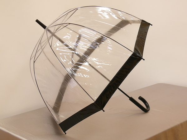 L041 трость. женские - трости