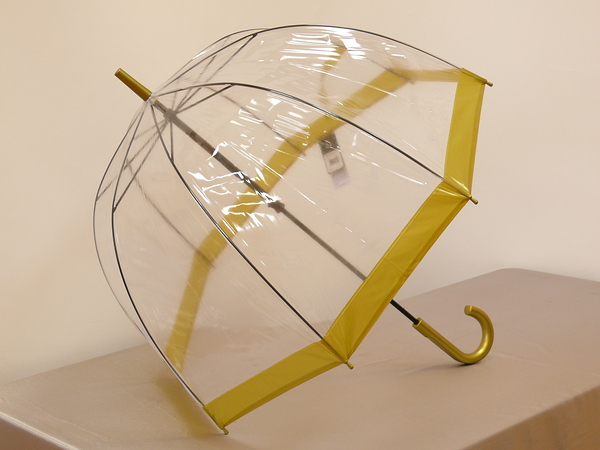 L041 трость. женские - трости