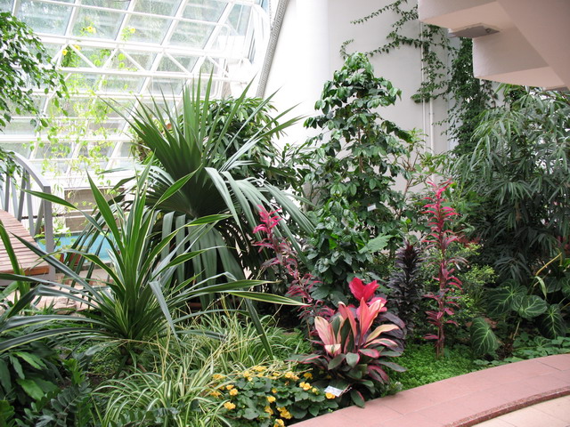 Ботанический сад (оранжерея) в Минске