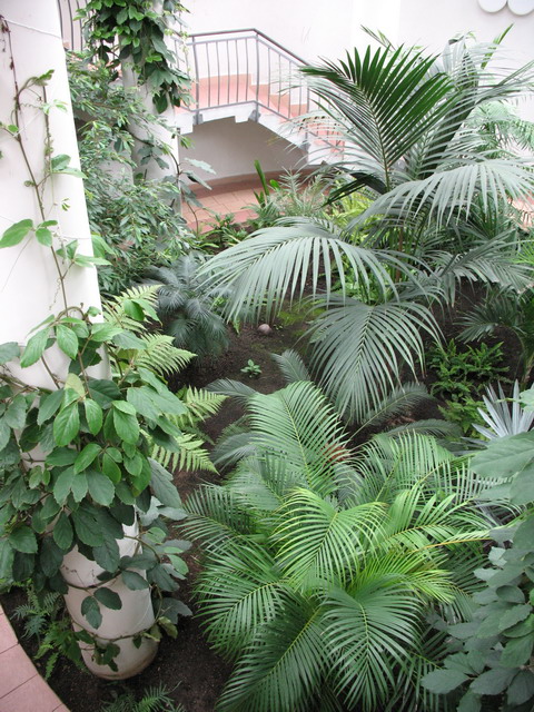 Ботанический сад (оранжерея) в Минске