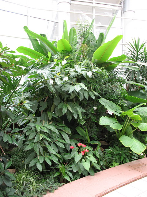 Ботанический сад (оранжерея) в Минске