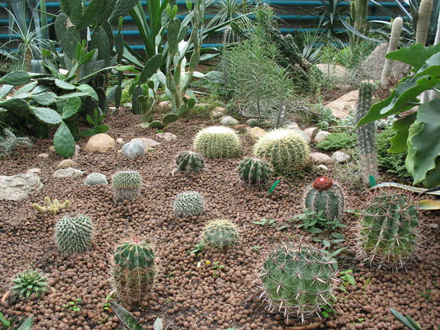 Ботанический сад (оранжерея) в Минске