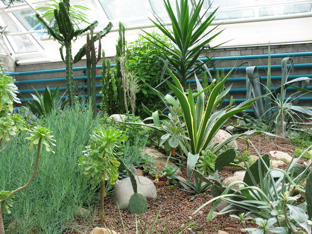 Ботанический сад (оранжерея) в Минске