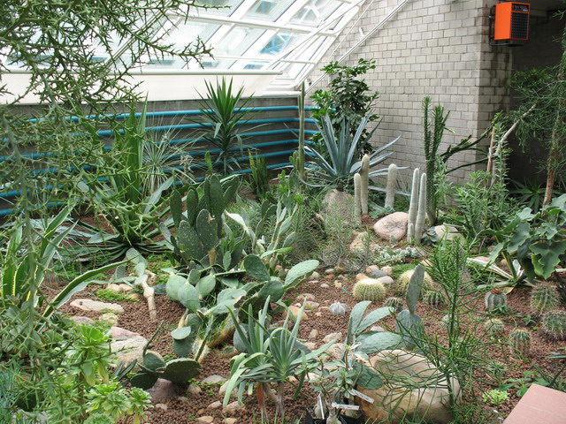 Ботанический сад (оранжерея) в Минске