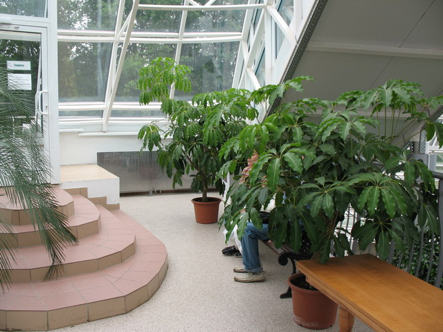 Ботанический сад (оранжерея) в Минске