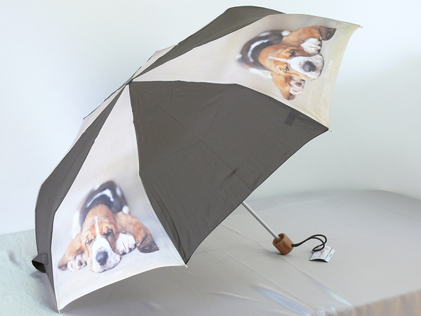 L515 R.Hale Minilite2. старые модельки, старые расцветки