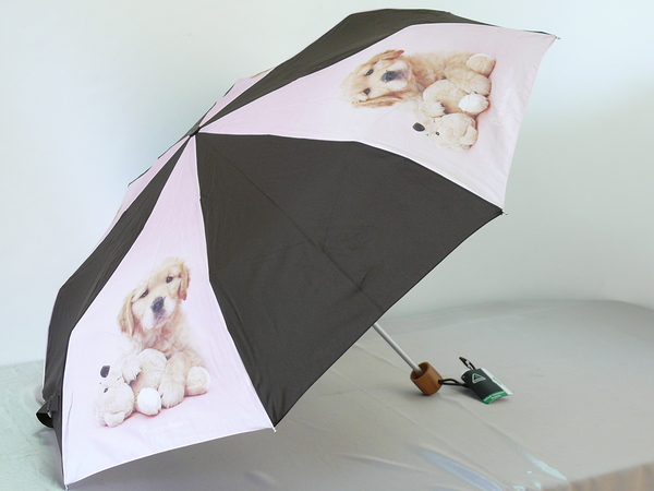 L515 R.Hale Minilite2. старые модельки, старые расцветки