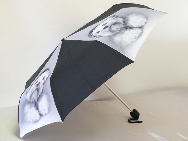 L515 R.Hale Minilite2. женские - механика классика