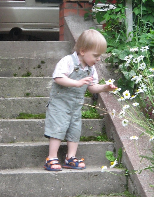 Питерское лето 2008