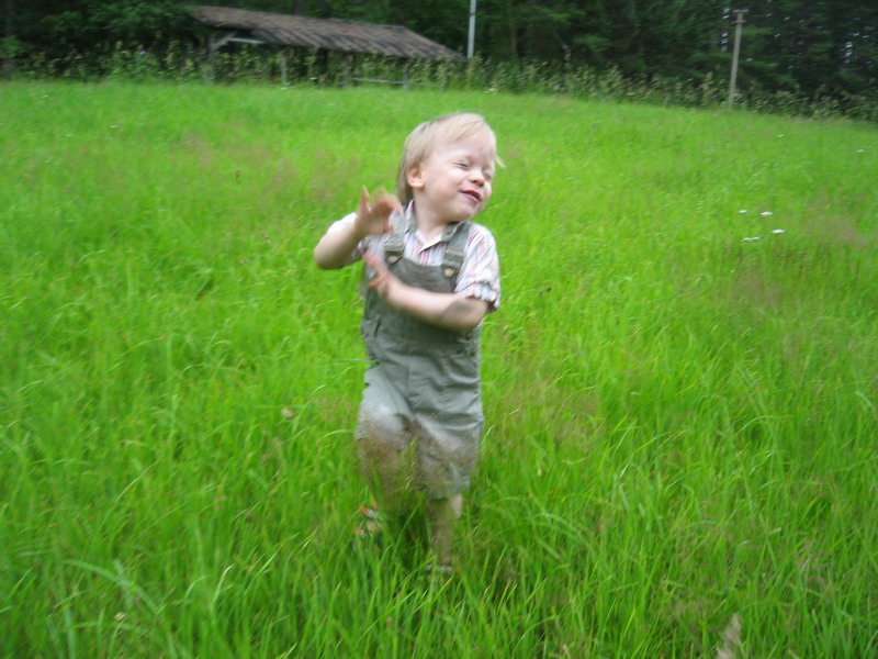 Питерское лето 2008