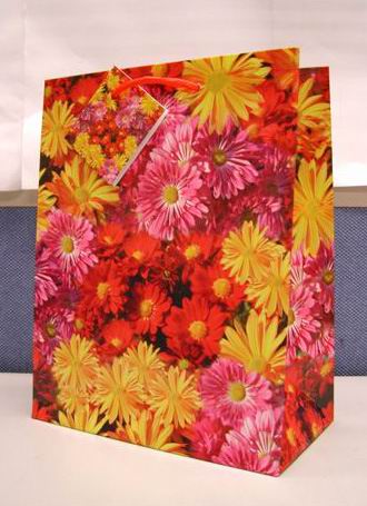 Подарочный пакет А609. Пакеты