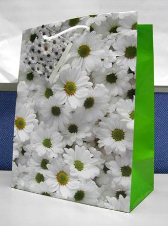 Подарочный пакет А1074. Пакеты