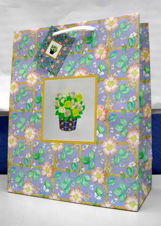 Подарочный пакет с окошком W-A205. Пакеты