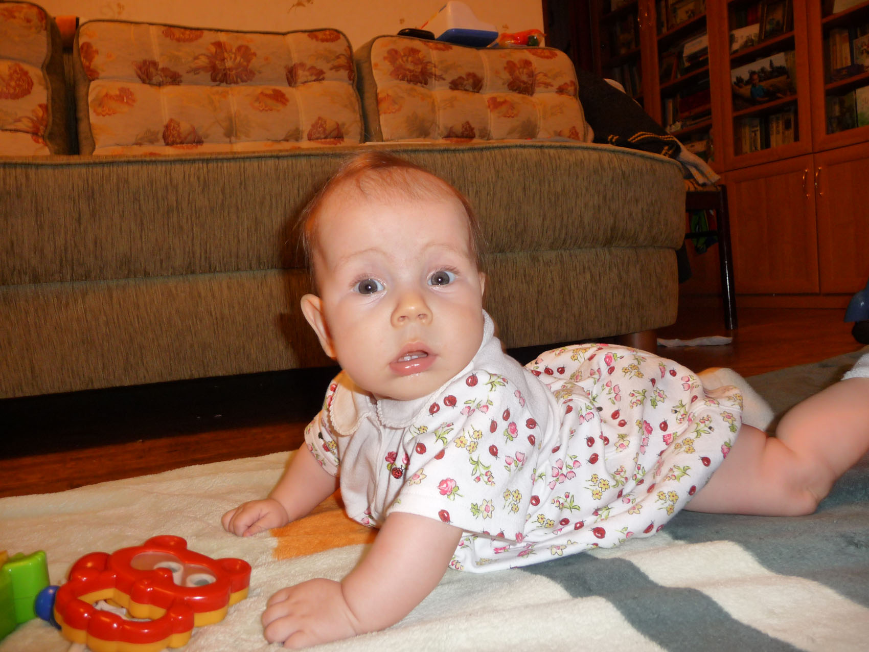 Новая папка