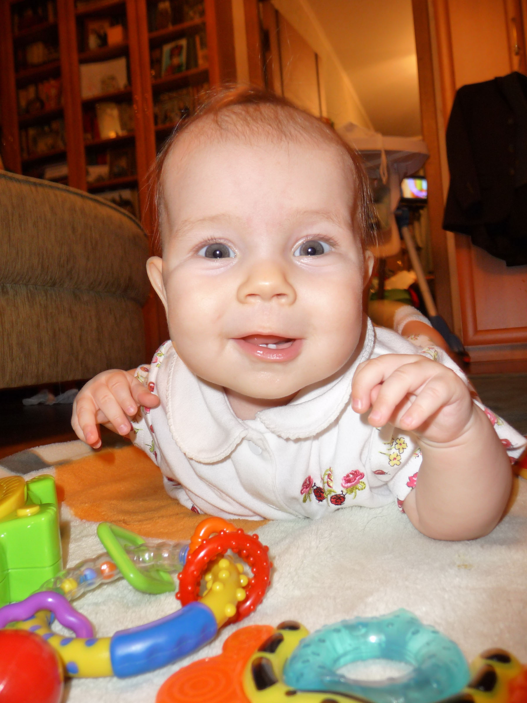 Новая папка