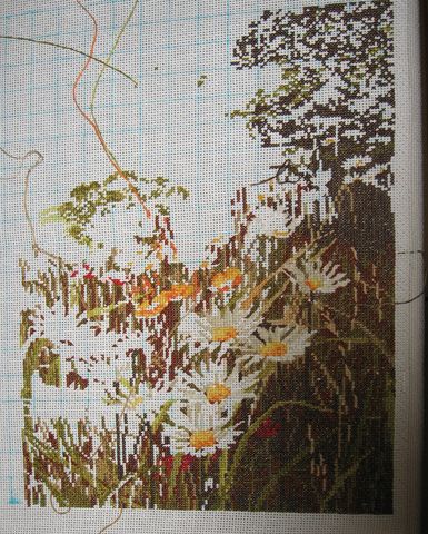 5 мая 2008 г.. Evening Sun (Anchor)