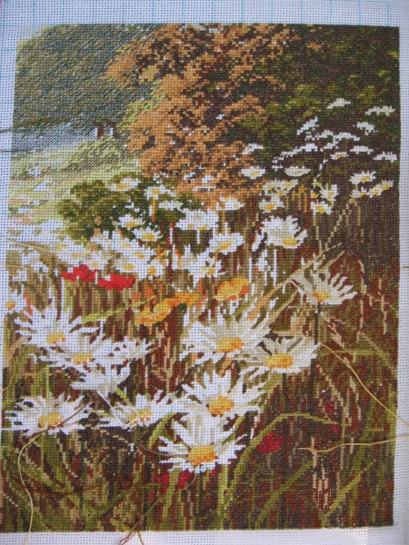 8 августа 2008 г.. Evening Sun (Anchor)