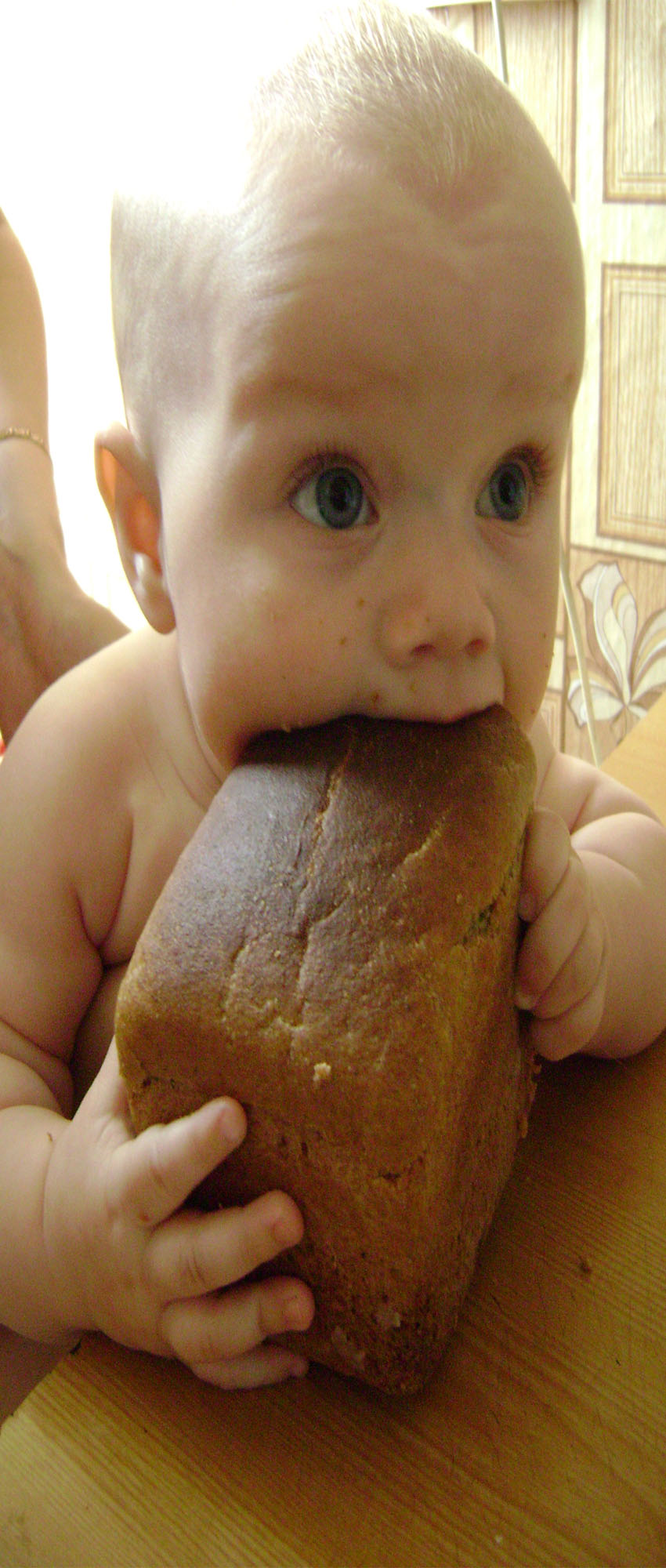 голод не тетка. Что сегодня на обед?