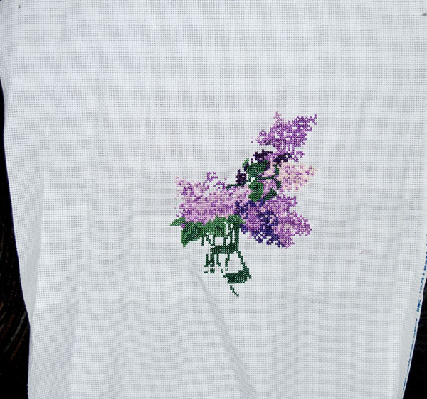 Сирень. Сирень