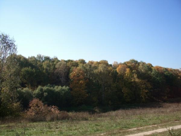 И это тоже Москва. 