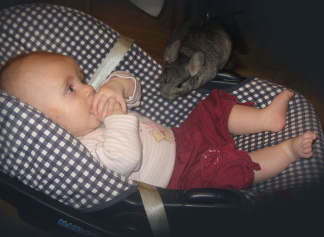 Друзья Василисы