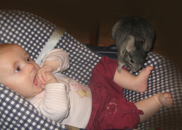 Друзья Василисы