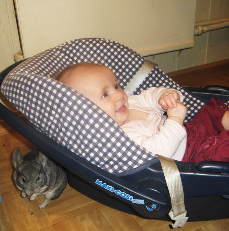 Друзья Василисы