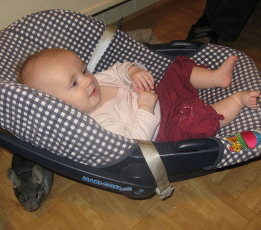 Друзья Василисы