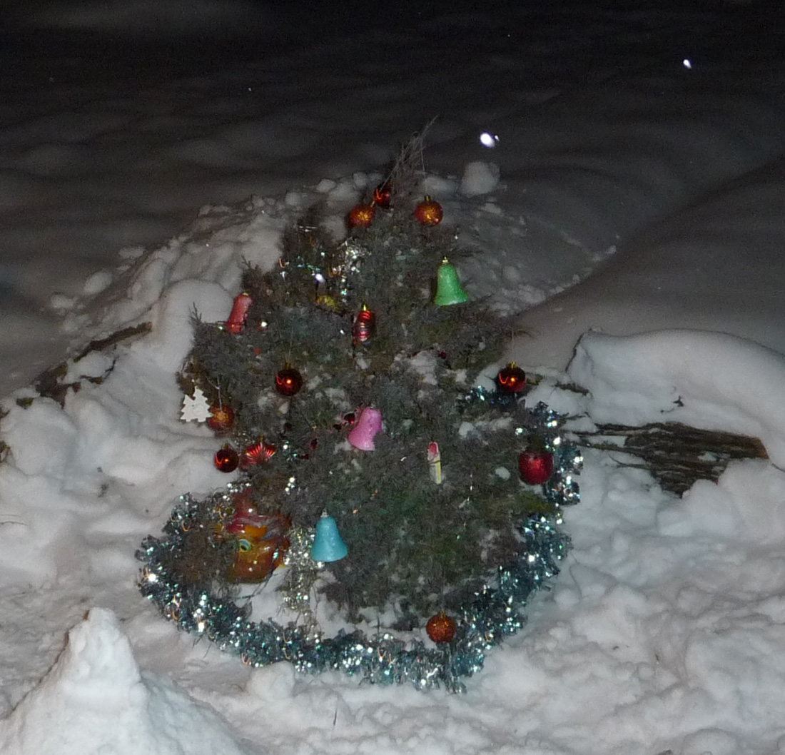 Волшебная елочка, под которой через 15 минут окажутся подарки :-). Новый год