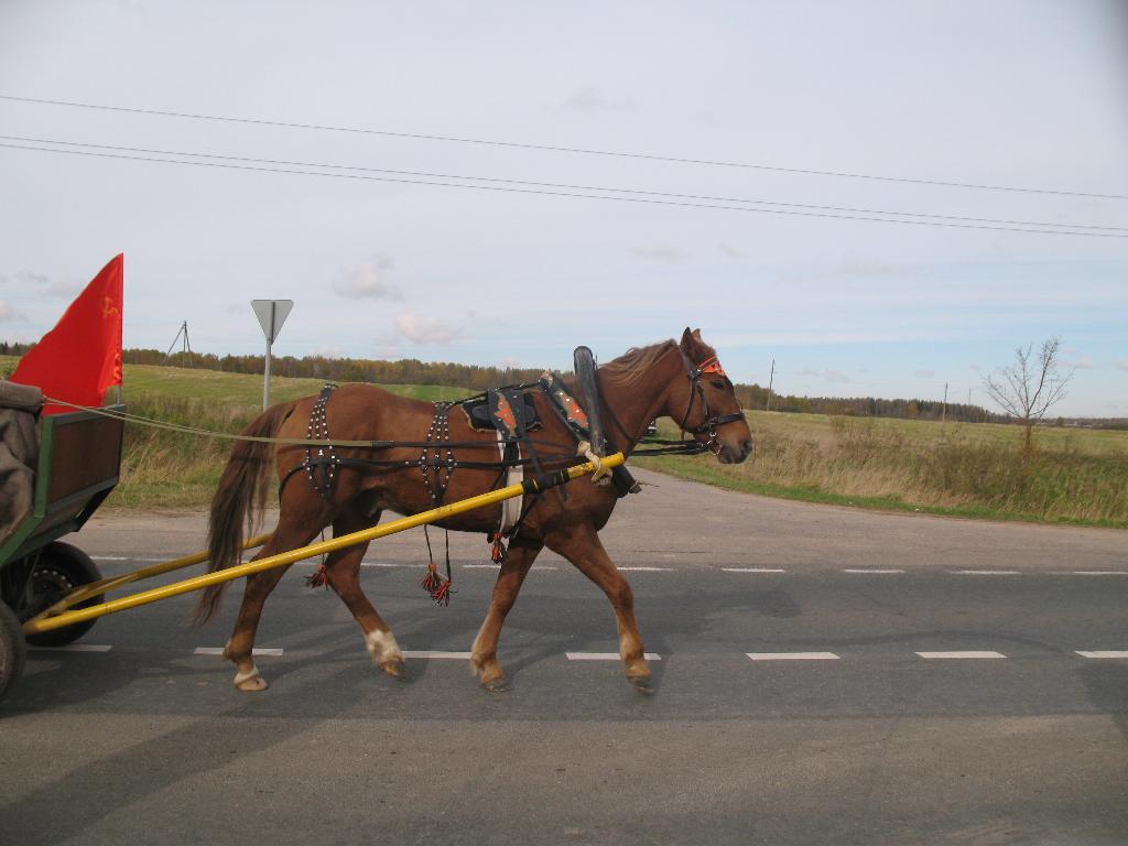 попутка в духе того времени. досуг