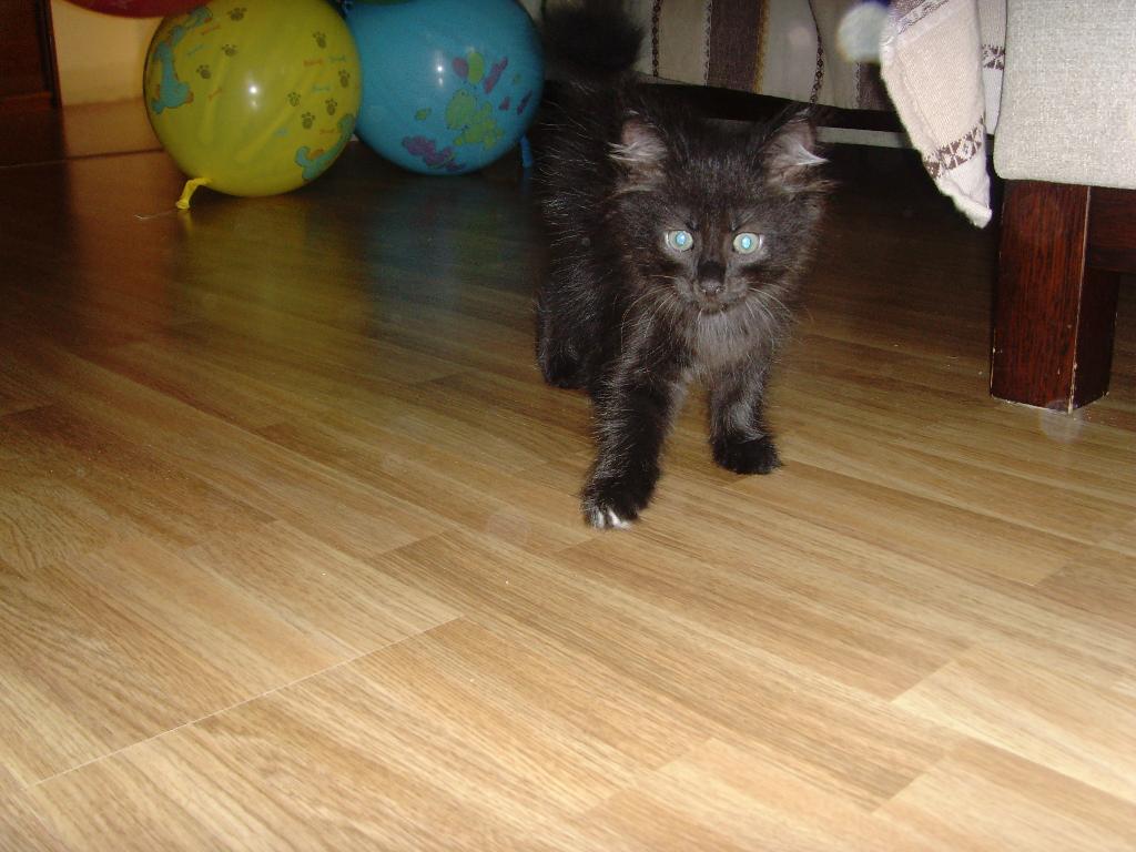 Марлин. Марлин