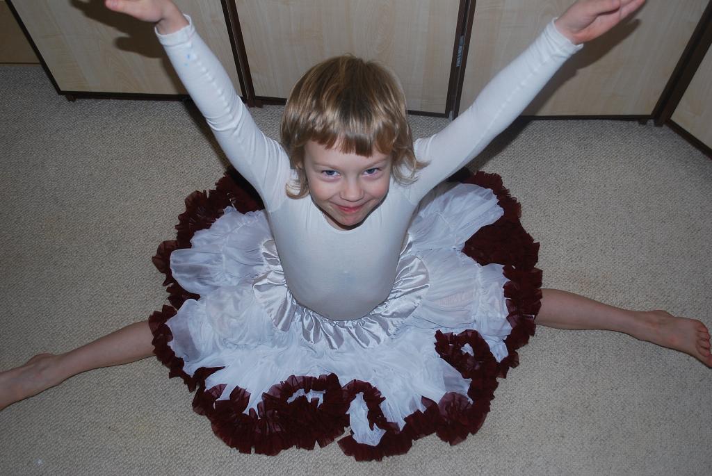 Хризантема на шпагате. 