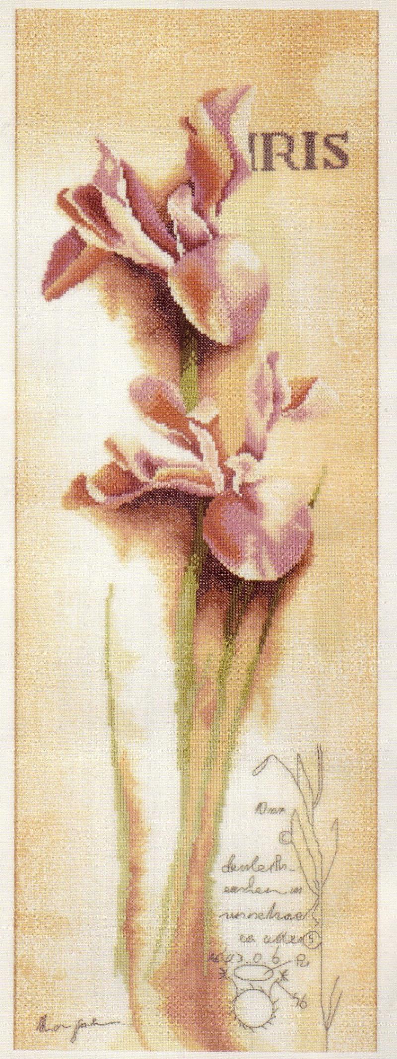 Ирисы. Собираюсь вышить