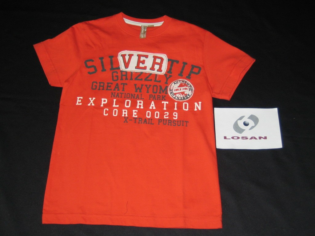 013101601, футболка, 100% хлопок, 335 рублей. мальчики 8-16