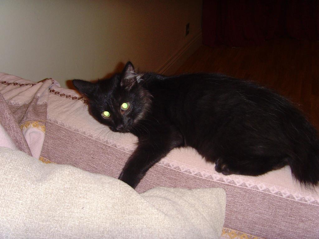 Представляет себя львом,наверное.. Марлин