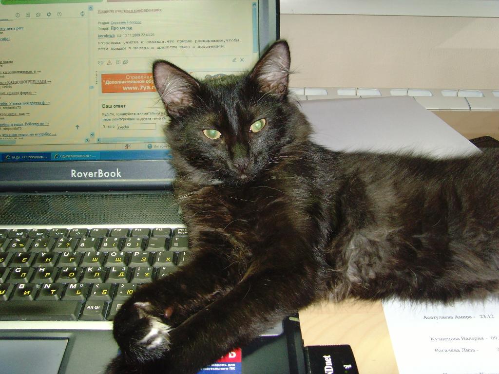 Хозяин. Марлин