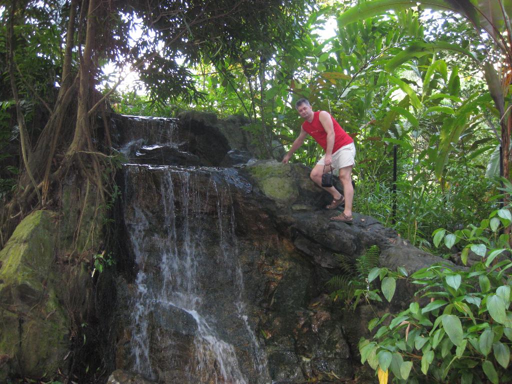 ботанический сад. Коллаж из путешествий