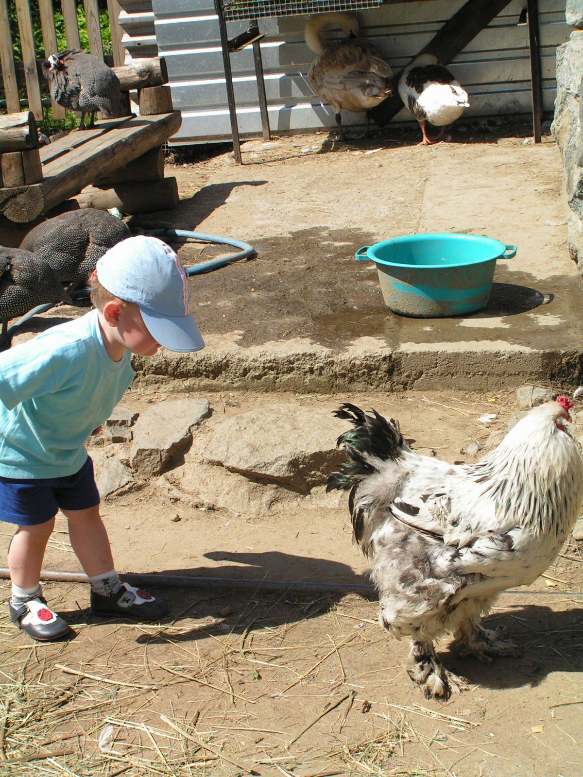 В зоопарке братик. 