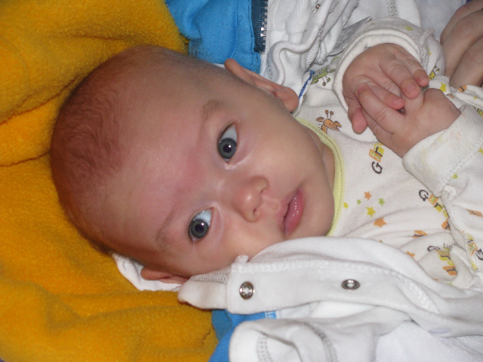 Очень мне спокойно и комфортно!. 