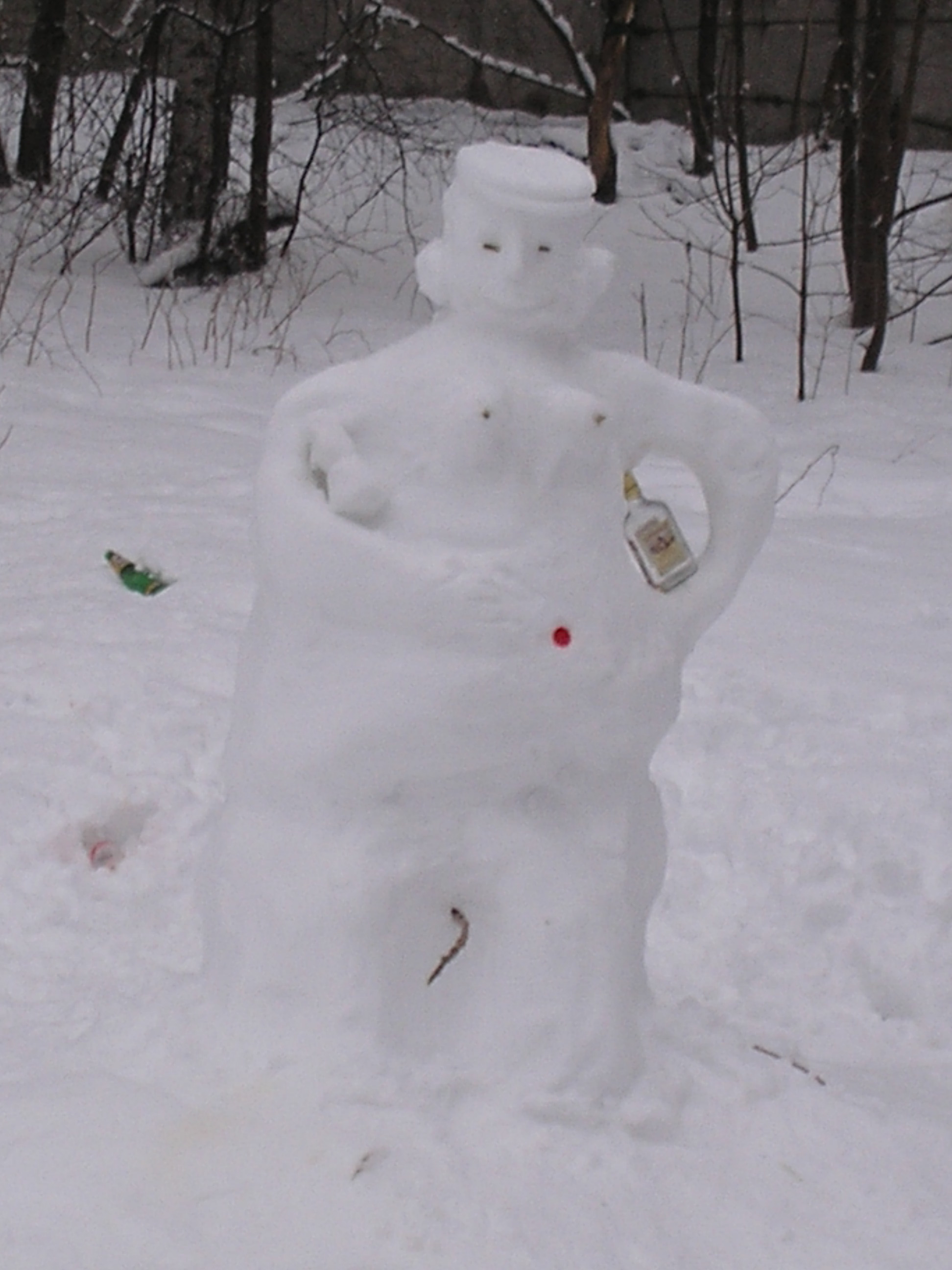 Бабы снежные разные. Снеговики в Ботаническом саду