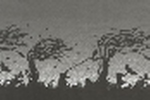 L346 OpenClose4. женские - автомат классика