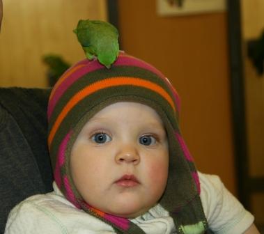 9 месяцев.. 9 месяцев