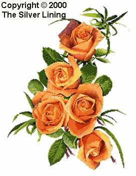 Silver Lining 093 New Millennium Rose. 04. Silver Lining 093 New Millennium Rose (завершен)