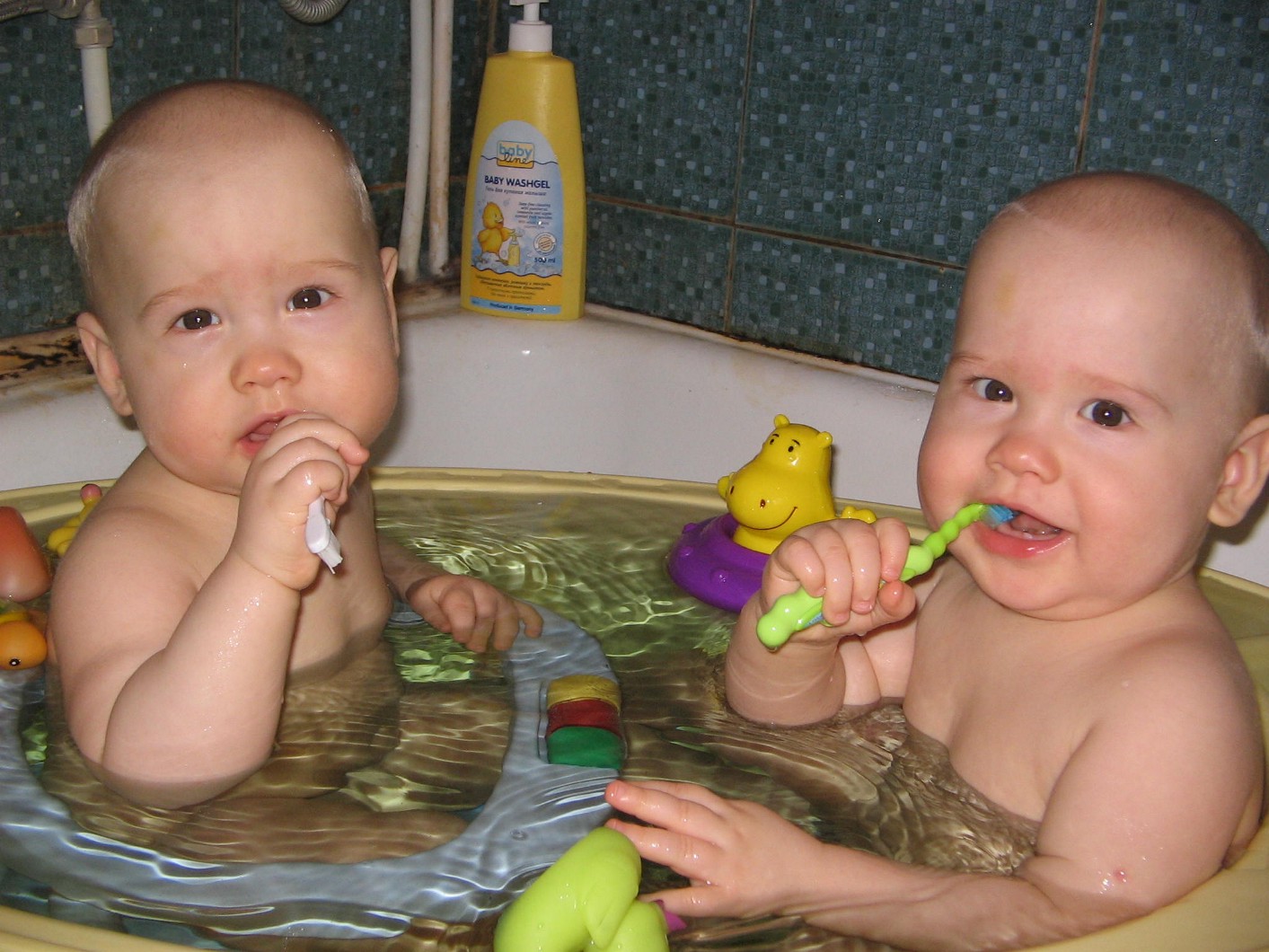 Вместе и зубы чистить веселей!. Сами чистим зубки