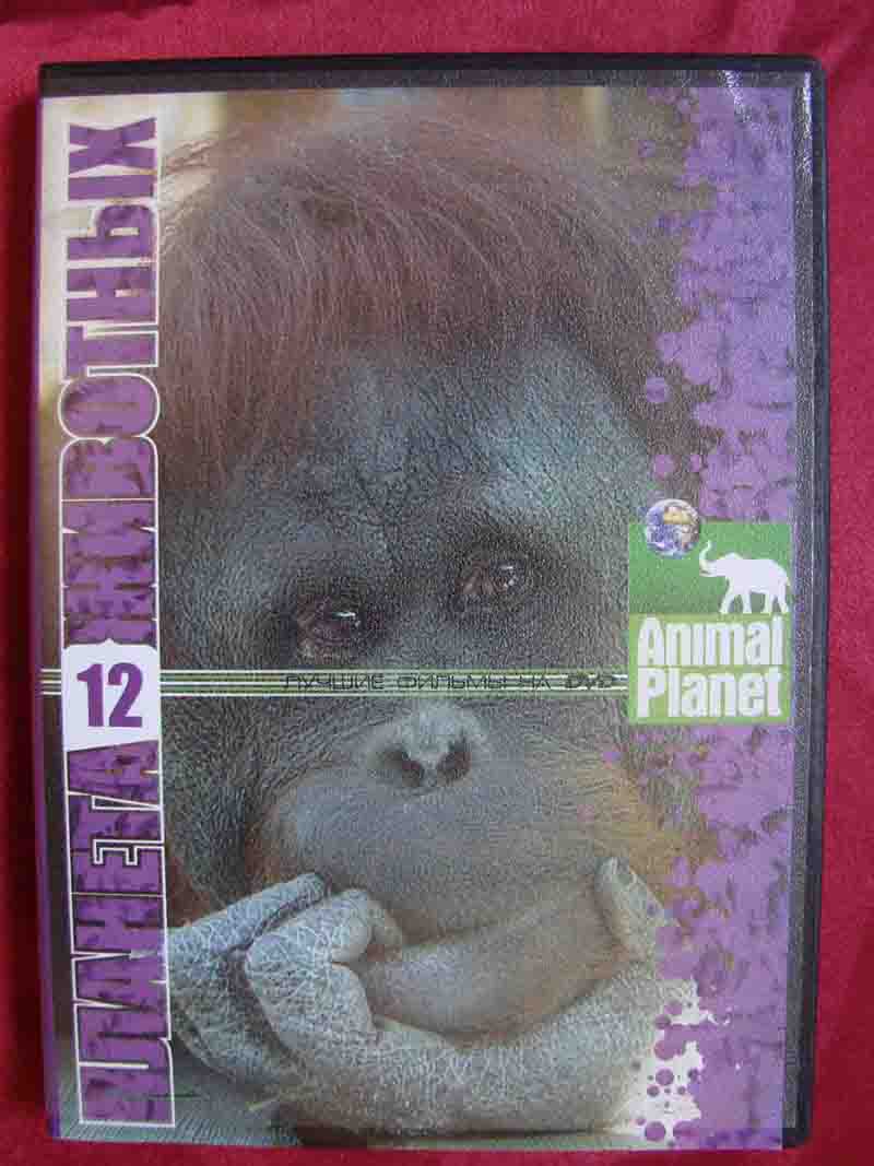 фильмы DVD по 80 р (качество DTS 5.1)