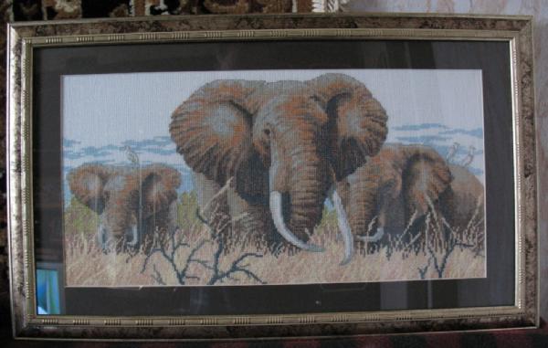 'Слоны' Dimensions.  Вышивка