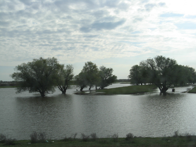 Сейчас там разлив. Рыбу ловят буквально в полях.. Астрахань