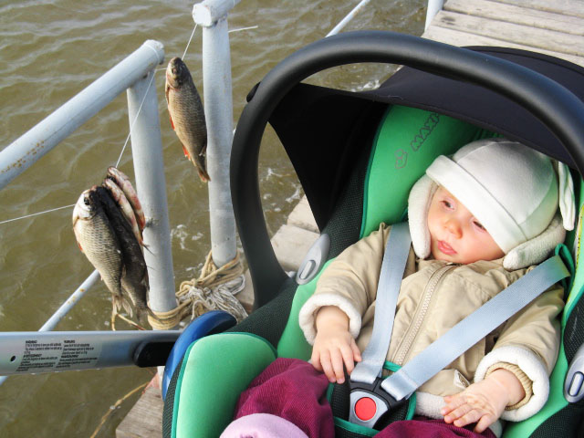 Василиса рыбачила тоже. Астрахань