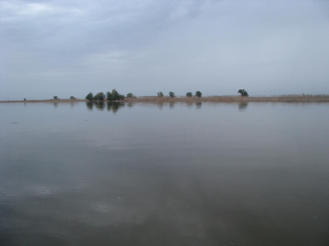 Красиво там. Река Бирюль. Астрахань