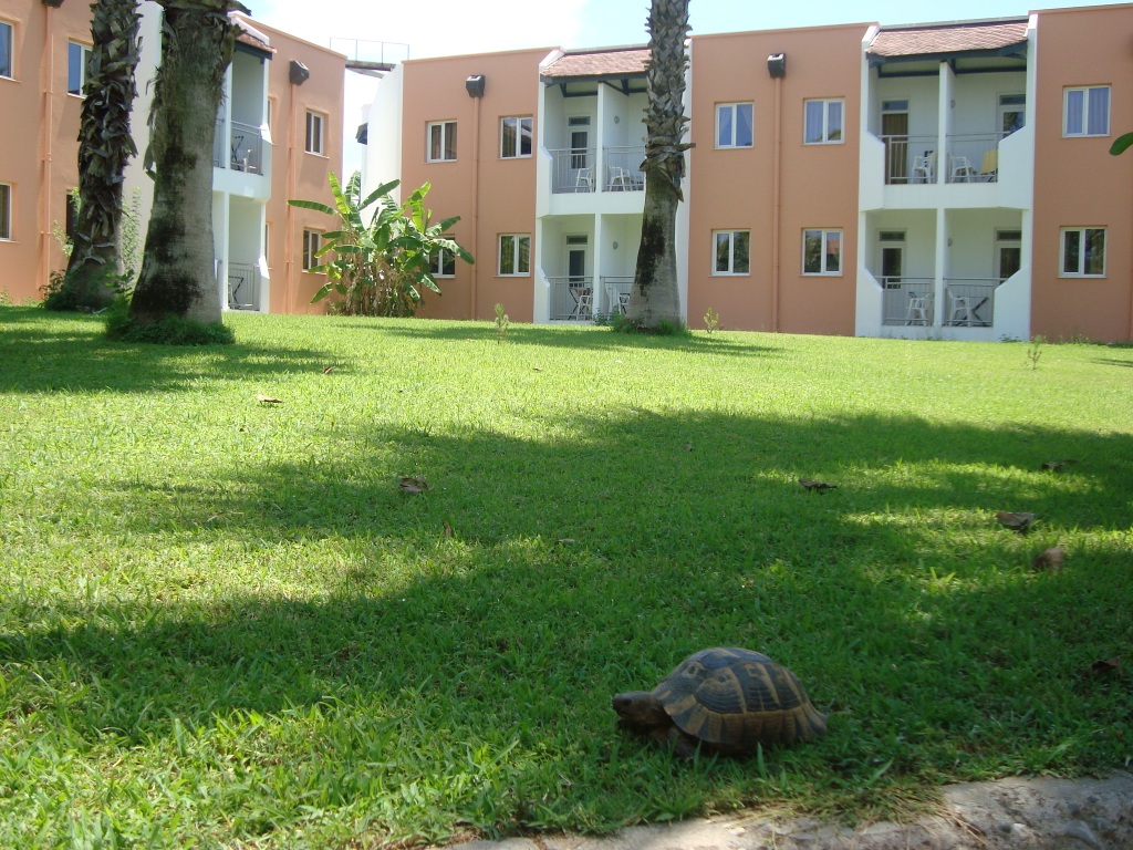 Белек, Adora Golf Resort 5*, июнь 2009